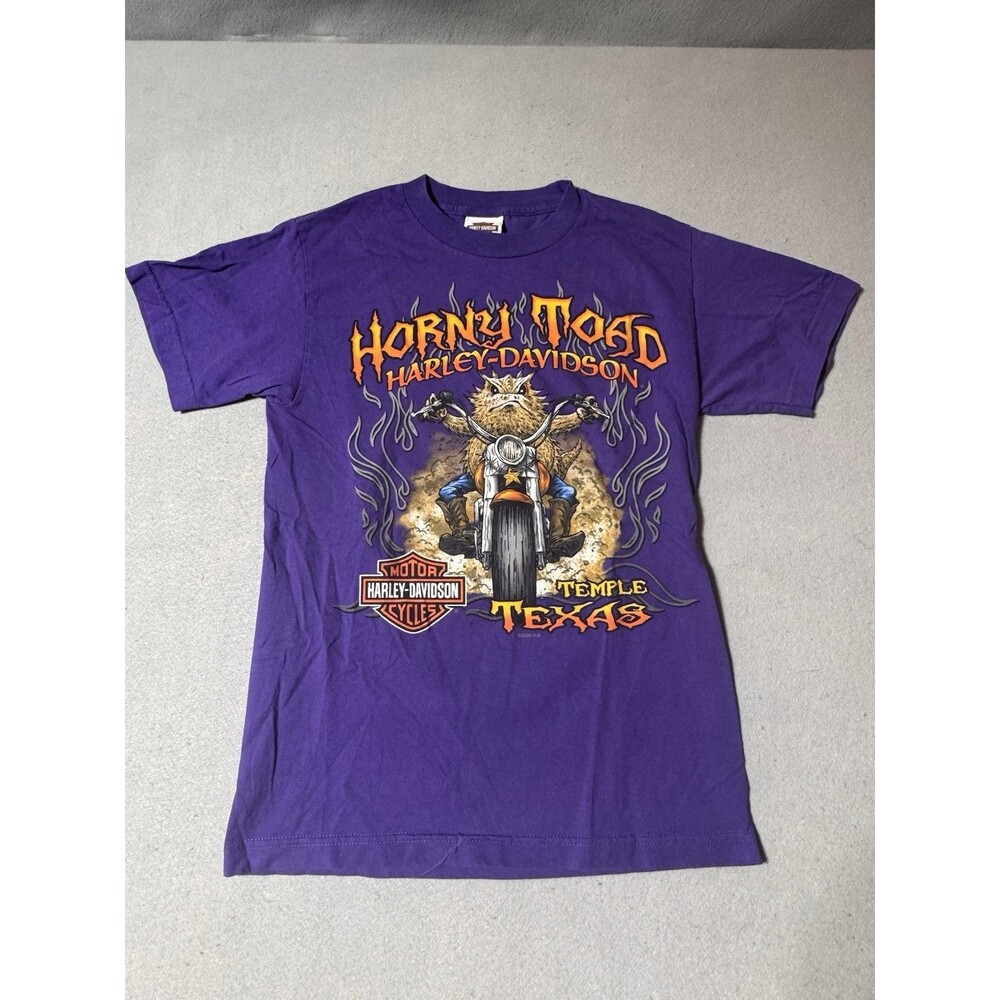 2006 Horny Toad Harley Davidson Y2K Small Graphic T-Shirt Temple Texas Biker Siz